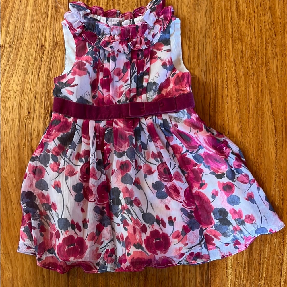 Baby Janie and Jack Floral Pink Dress